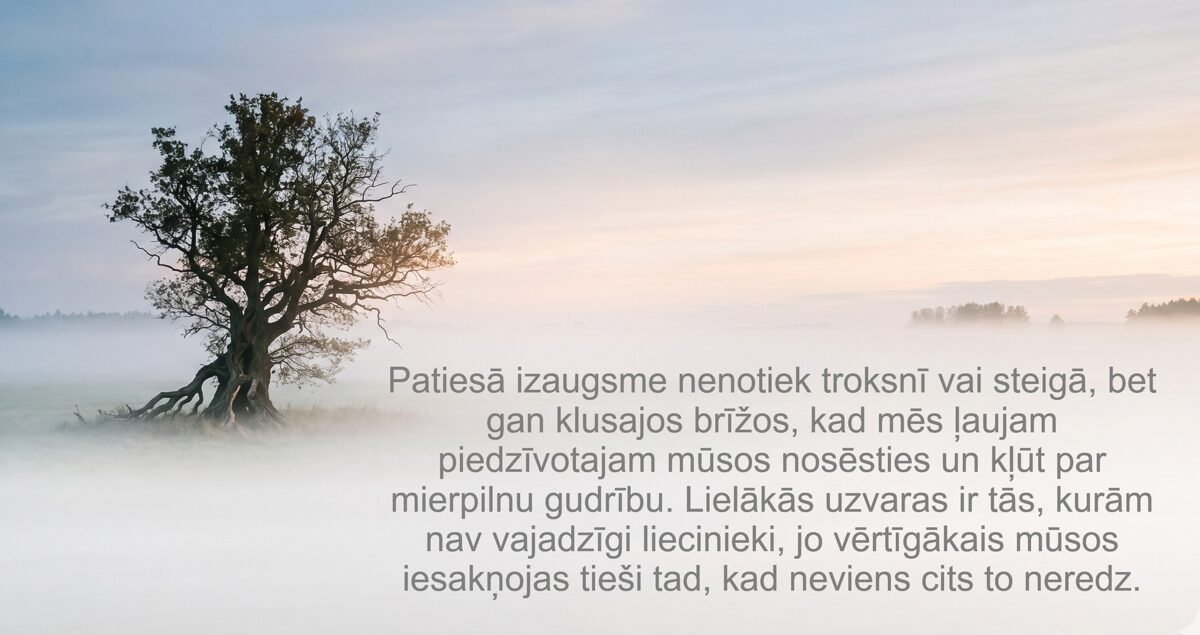 steiga.jpg